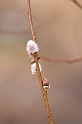 IMG_9486 (Resize)